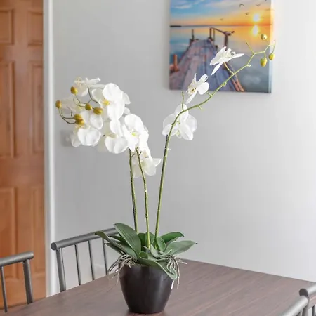 Peaceful Filton Retreat With Garden