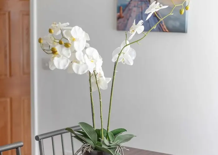 Family Friendly Filton With Parking And Wifi